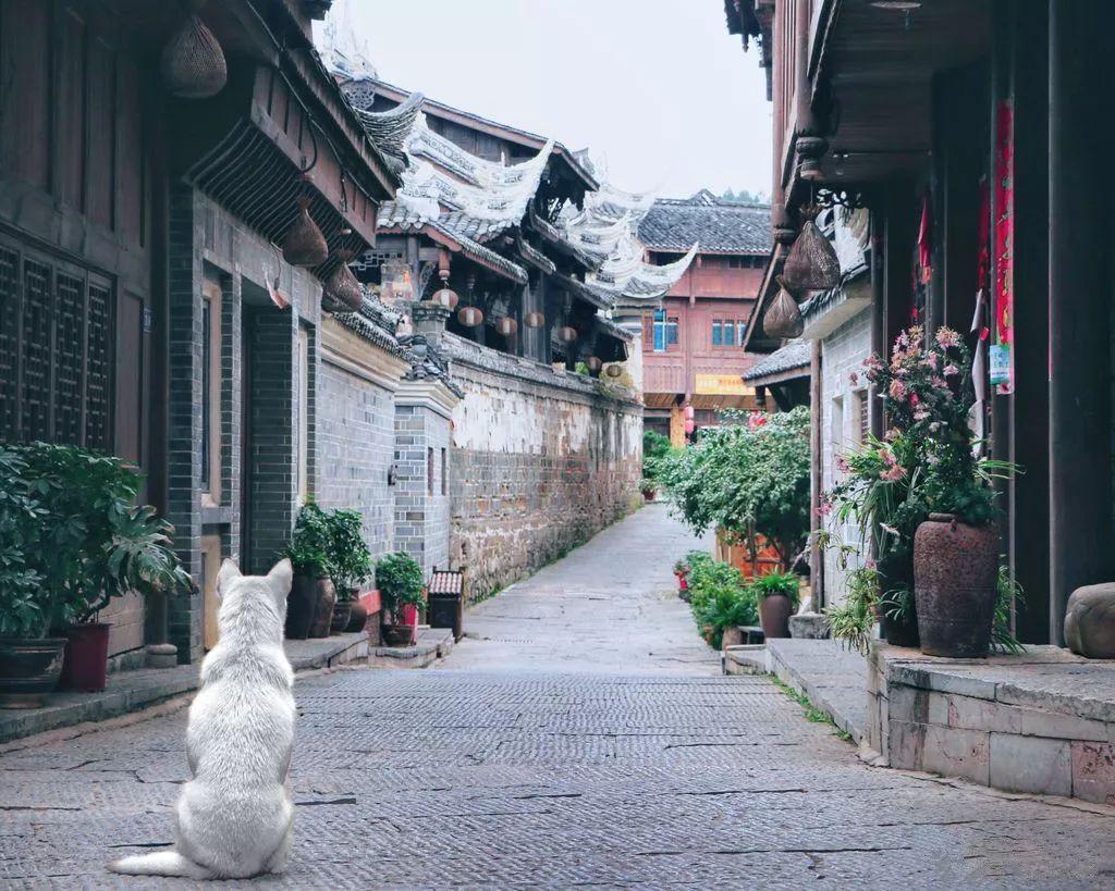 嘉日单词